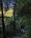 cialikechia Altpins Profile Picture
