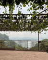 cialikechia Altpins Profile Picture