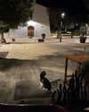 cialikechia Altpins Profile Picture