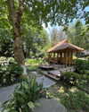 cialikechia Altpins Profile Picture