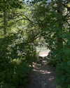 cialikechia Altpins Profile Picture