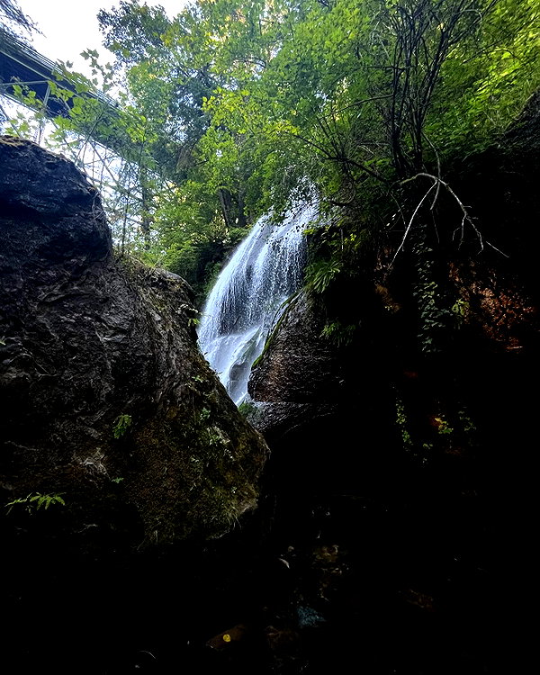 cialikechia instagram image archive image