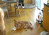 cialikechia Altpins Profile Picture