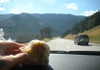 cialikechia Altpins Profile Picture
