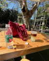 cialikechia Altpins Profile Picture