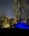 cialikechia Altpins Profile Picture