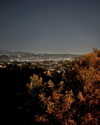 cialikechia Altpins Profile Picture