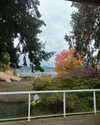 cialikechia Altpins Profile Picture