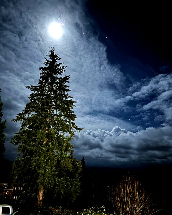 cialikechia instagram image archive image