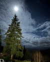 cialikechia Altpins Profile Picture