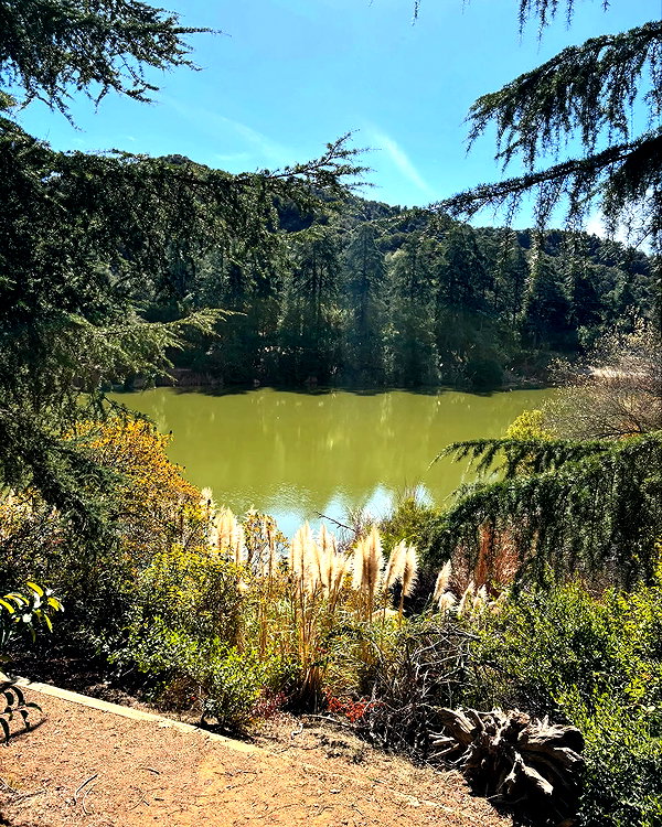 cialikechia instagram image archive image