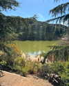 cialikechia Altpins Profile Picture