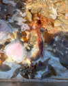 cialikechia Altpins Profile Picture
