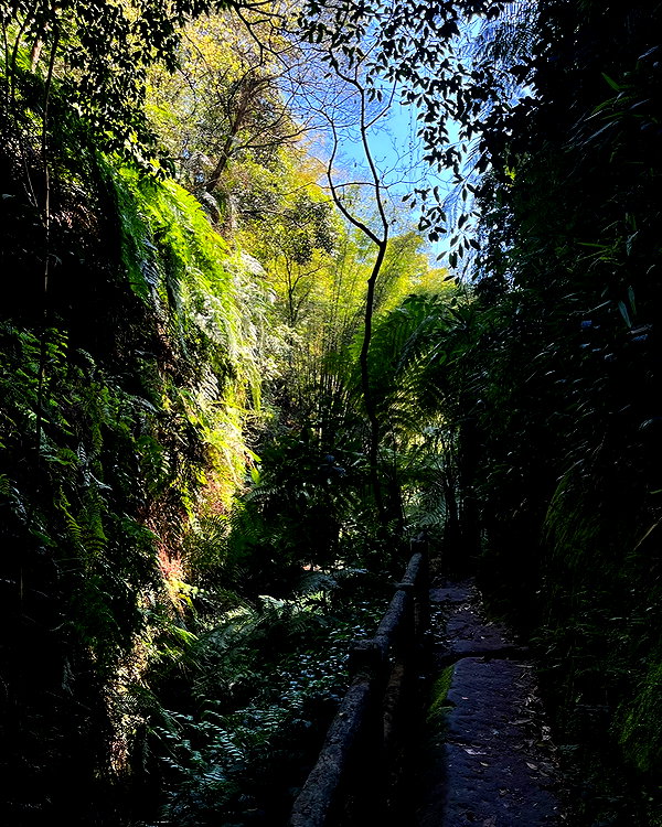 cialikechia instagram image archive image