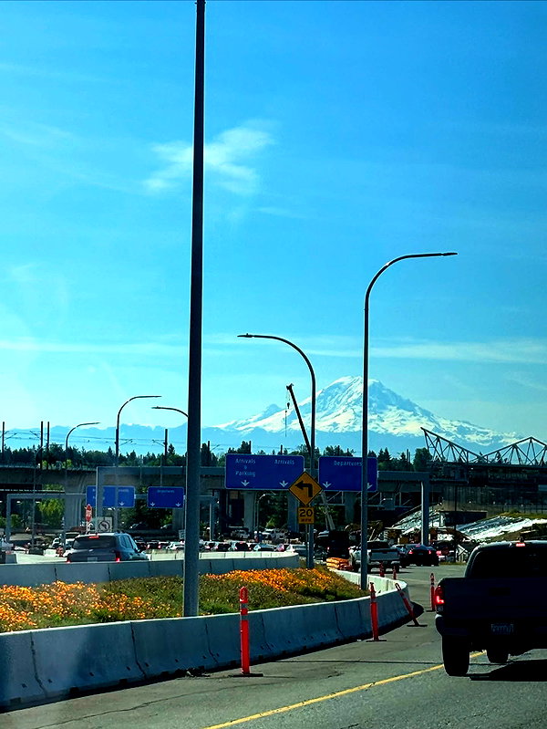 cialikechia instagram image archive image