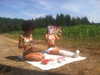 cialikechia Altpins Profile Picture