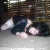 cinnannoe Altpins Profile Picture