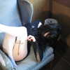 cinnannoe Altpins Profile Picture