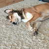 claudiacookgomez Altpins Profile Picture