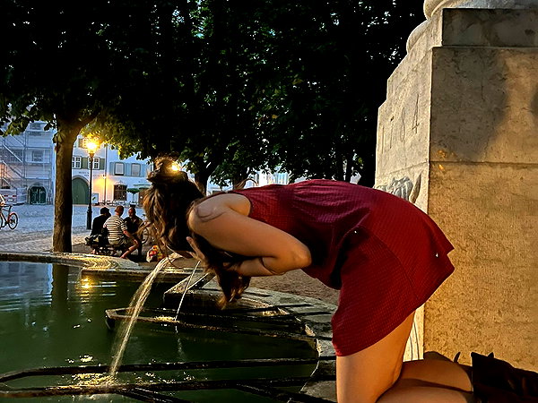 claudiacookgomez instagram image archive image