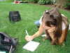 claudiacookgomez Altpins Profile Picture