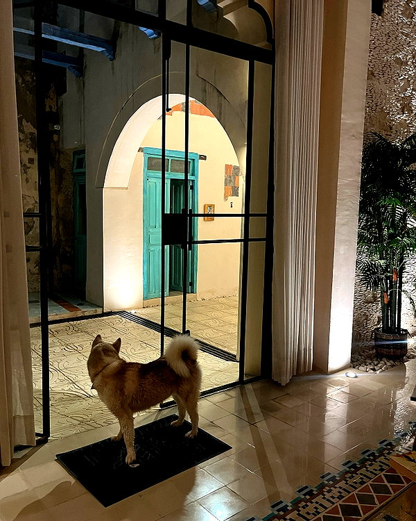 claudiagarmaa instagram image archive image