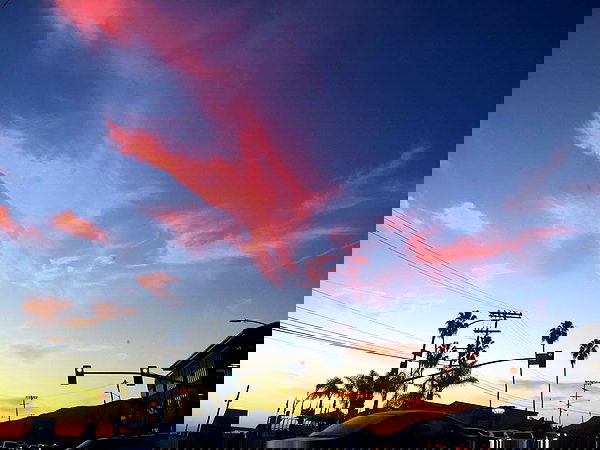 corinnakopf image ~ Altpins