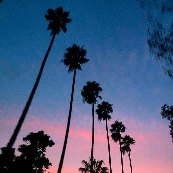 corinnakopf instagram image archive image