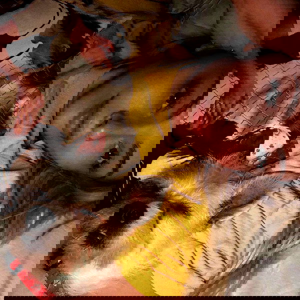 corinnakopf image ~ Altpins