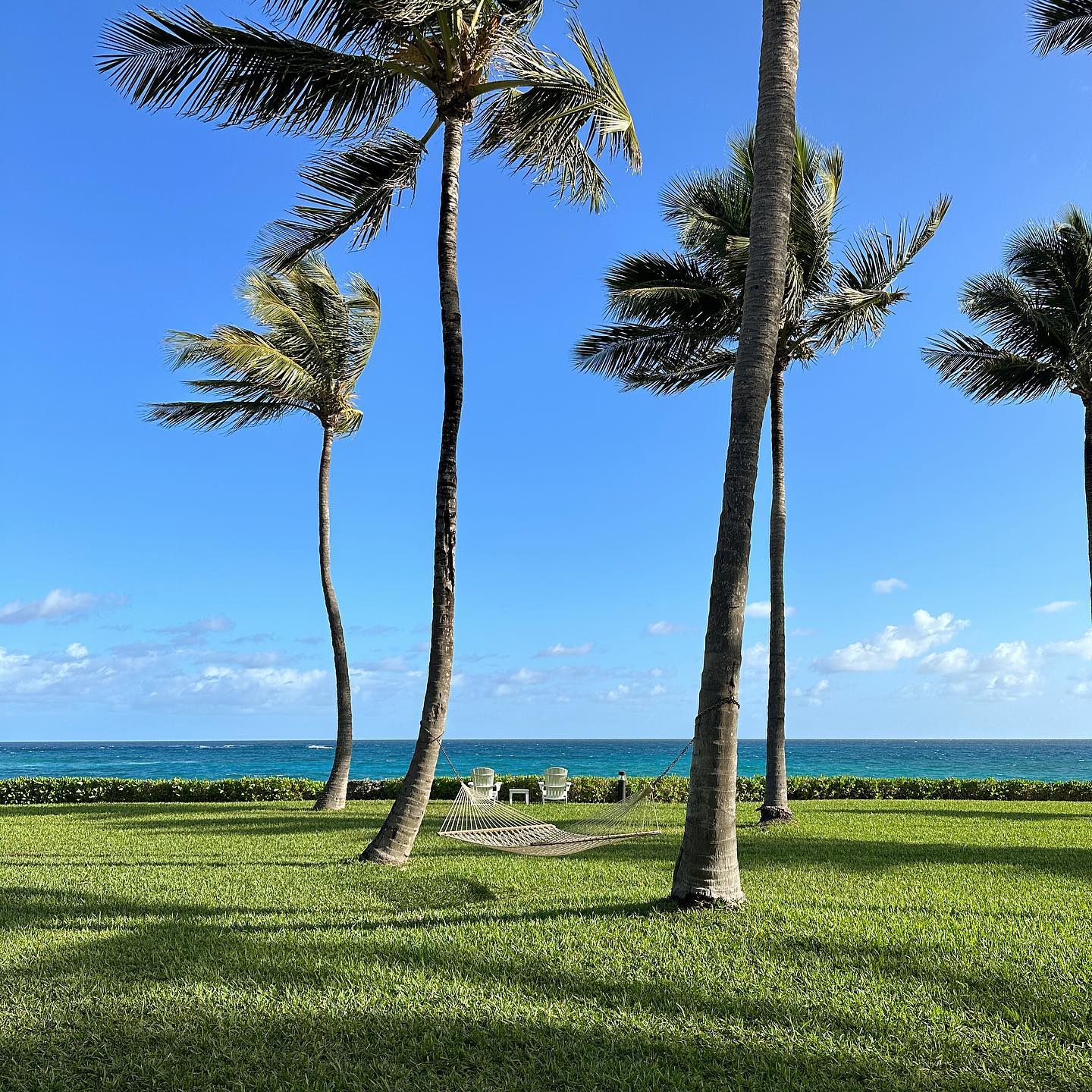 corinnakopf instagram image archive image