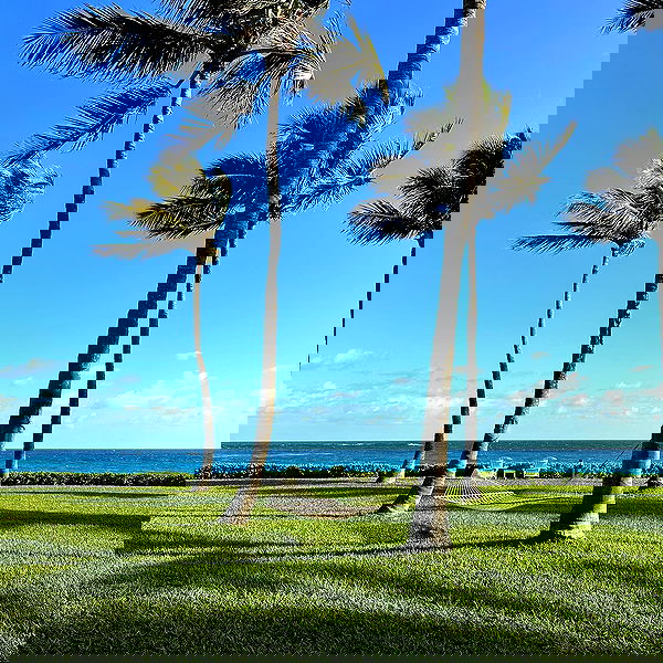 corinnakopf image ~ Altpins