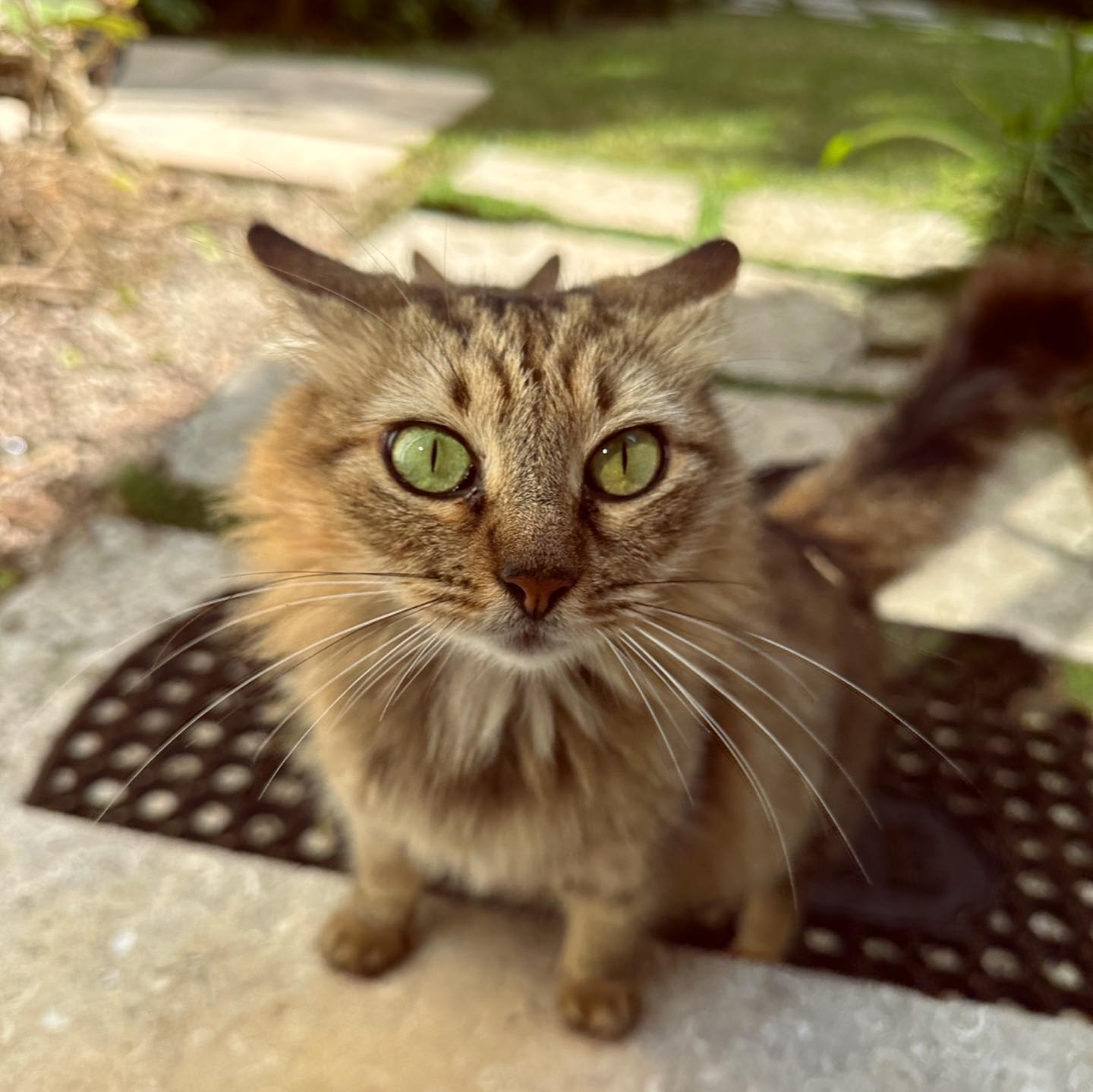 corinnakopf instagram image archive image