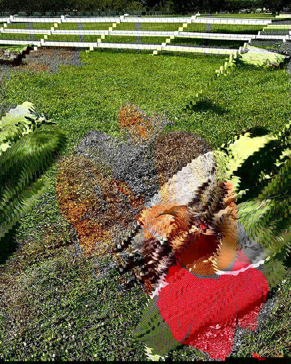 corinnakopf image ~ Altpins