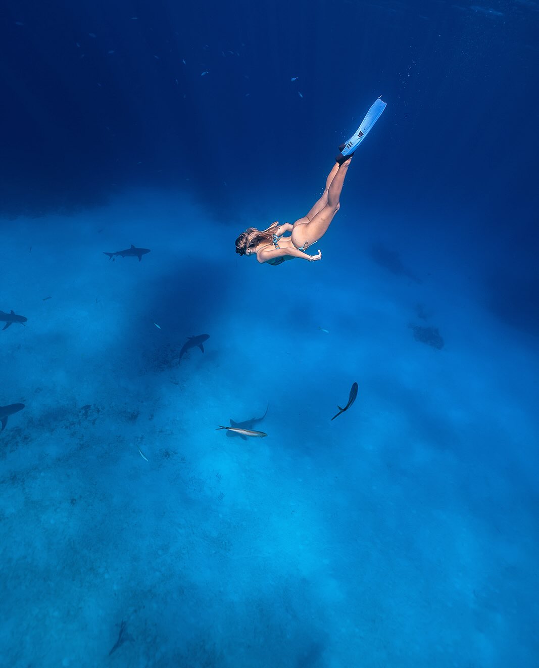 corinnakopf instagram image archive image