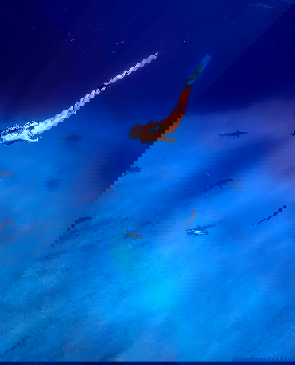 corinnakopf image ~ Altpins