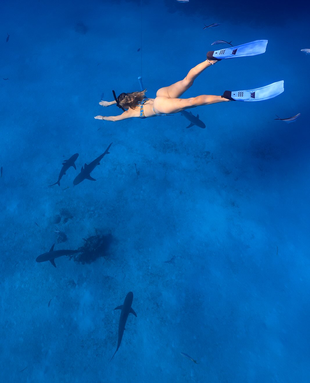 corinnakopf instagram image archive image