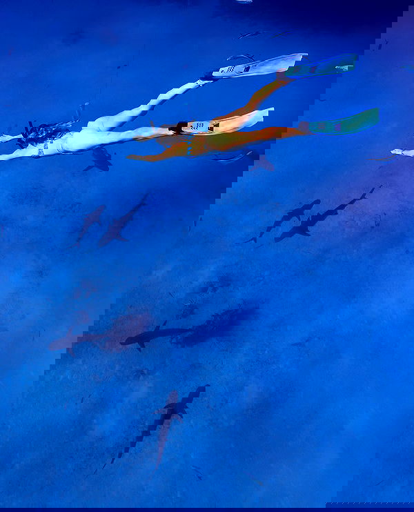 corinnakopf image ~ Altpins