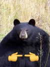 creamicloudxo Altpins Profile Picture
