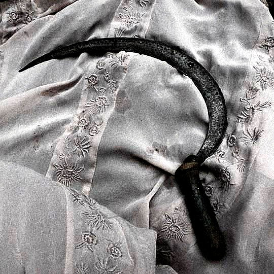 crocatana instagram image archive image