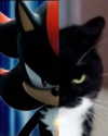 cyber.rue Altpins Profile Picture