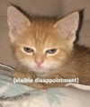 cyber.rue Altpins Profile Picture