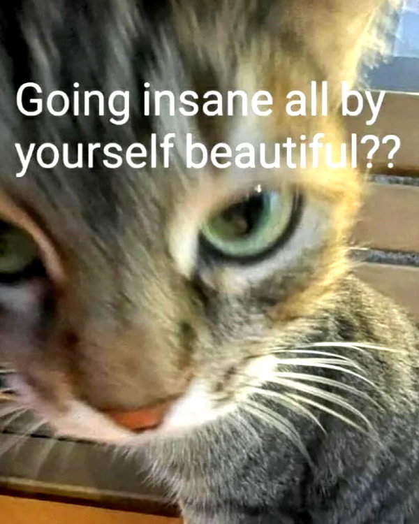 cyber.rue instagram image archive image