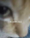 cyber.rue Altpins Profile Picture