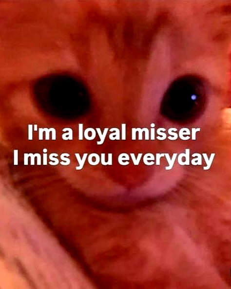 cyber.rue instagram image archive image