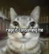 cyber.rue Altpins Profile Picture