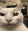 cyber.rue Altpins Profile Picture