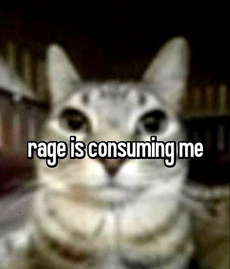cyber.rue instagram image archive image