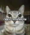 cyber.rue Altpins Profile Picture