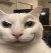 cyber.rue Altpins Profile Picture