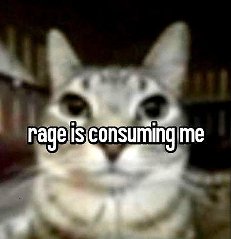 cyber.rue instagram image archive image